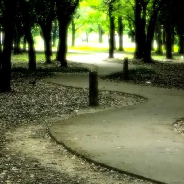 【フリーBGM】撮影した写真のスライドショー映像などに無料で使えるBGM「Path to glory」