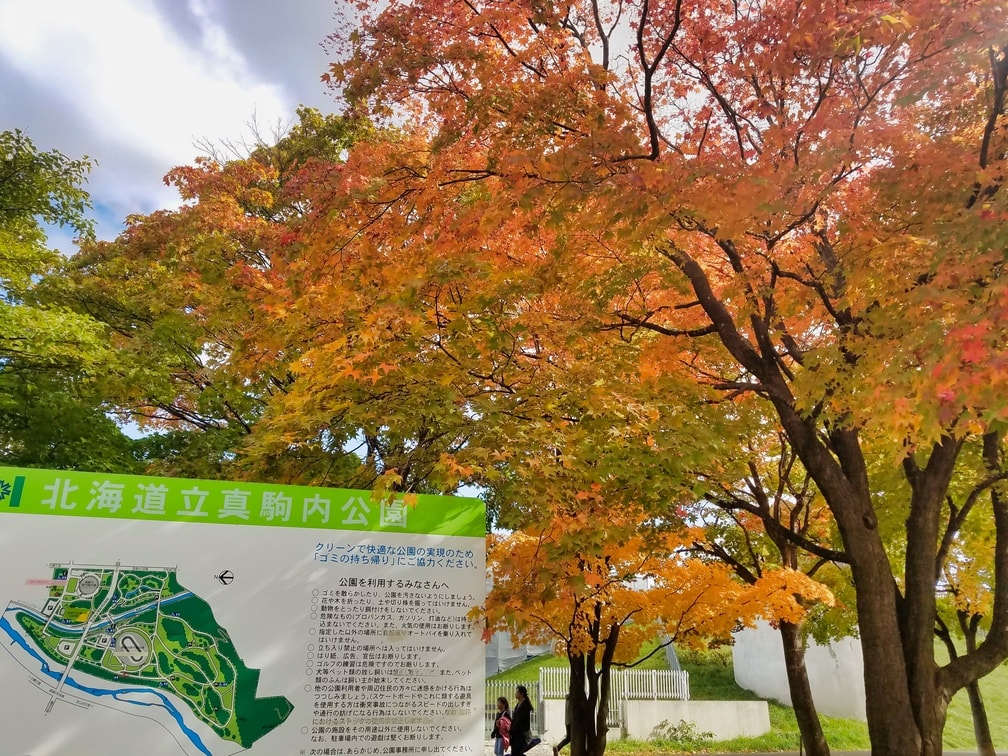 【紅葉スポット】札幌でゆったり撮影するなら真駒内公園がオススメ!