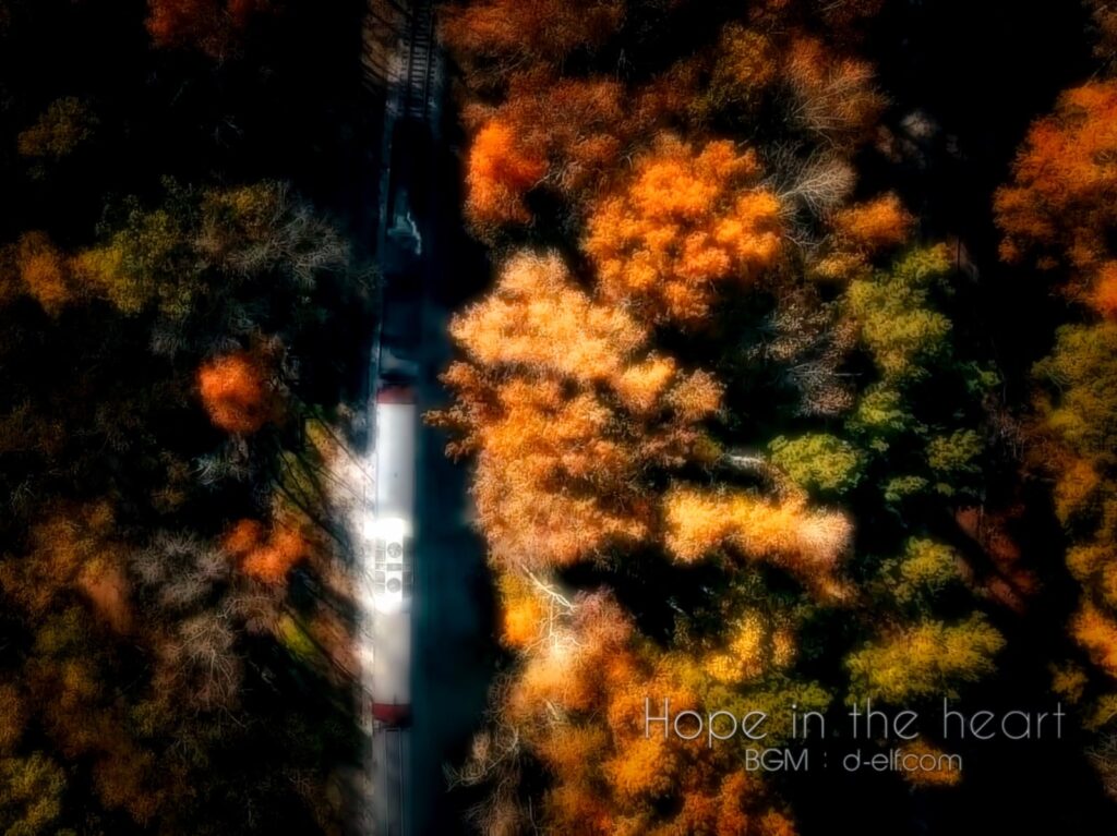 Hope In The Heart V1 43 Min 1024x767