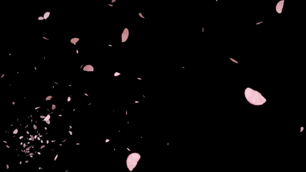 2 1024x576