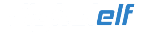 digitalelf logo2
